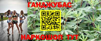 сатива Краснодар