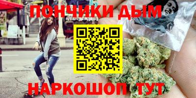 сатива Краснодар