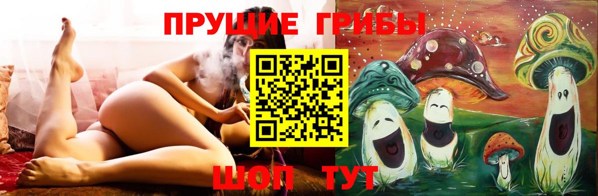 Якутск  Галлюциногенные грибы Psilocybine cubensis  Вход с VPN 